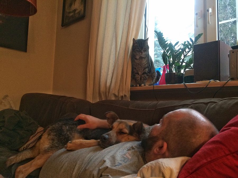 Pierwszy rok z psem Filipem