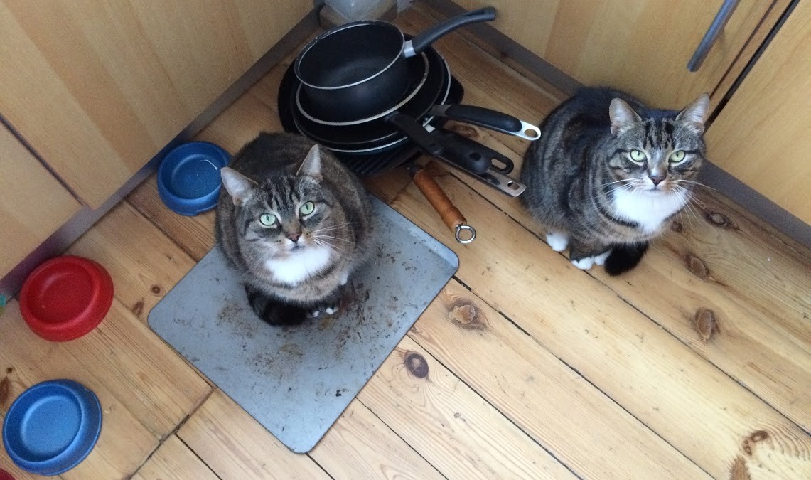 Dej mie ten&nbsp;hamborgir