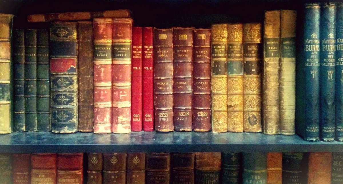 W księżycową jasną&nbsp;noc