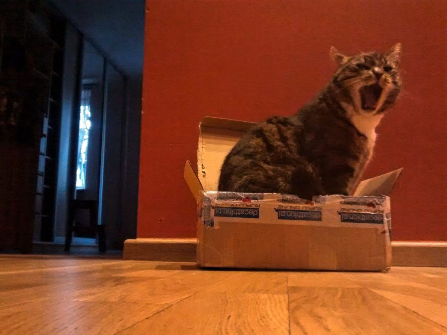 Wszystkie okna prowadzą do&nbsp;Rzymu