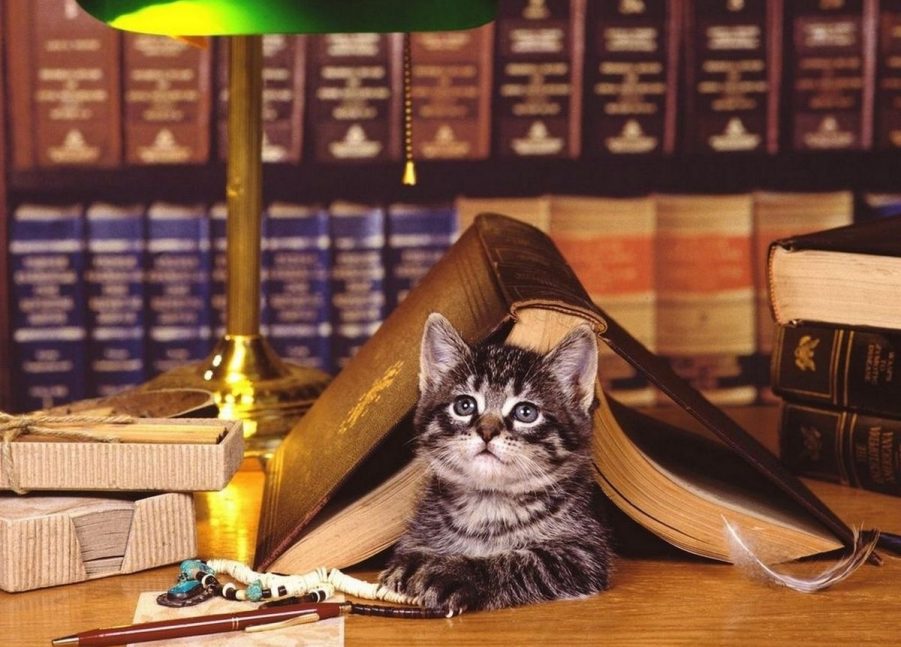 Przez Stany POPświadomości, czyli na&nbsp;spotkanie